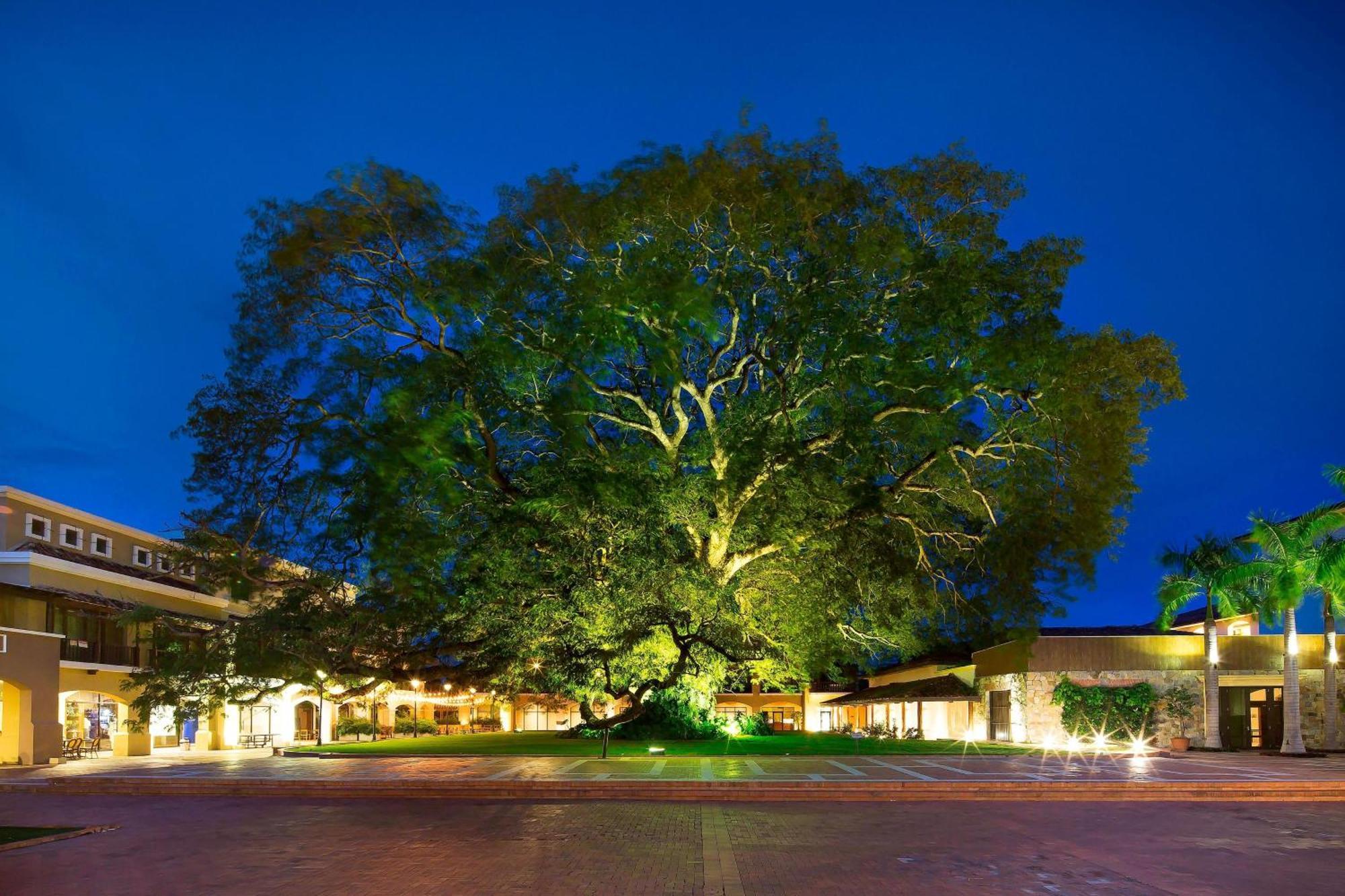 The Buenaventura Golf & Beach Resort, Autograph Collection Rio Hato Luaran gambar